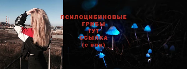 молекула духа Иннополис