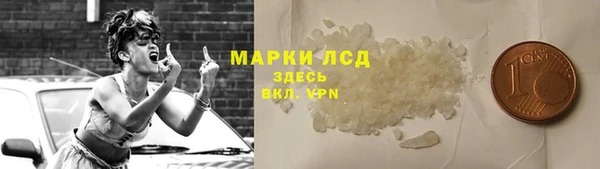 стаф Каменск-Шахтинский