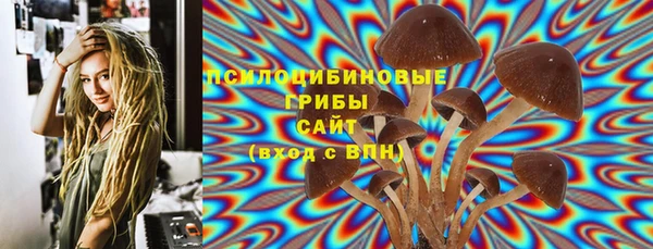 ПСИЛОЦИБИНОВЫЕ ГРИБЫ Каменка