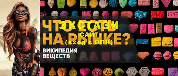 хмурый Инта