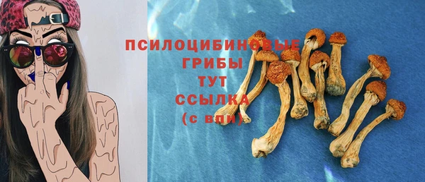 хмурый Инта