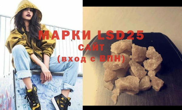 ПСИЛОЦИБИНОВЫЕ ГРИБЫ Каменка