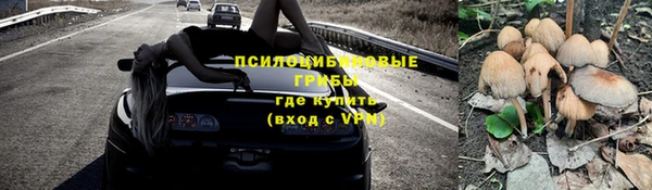молекула духа Иннополис