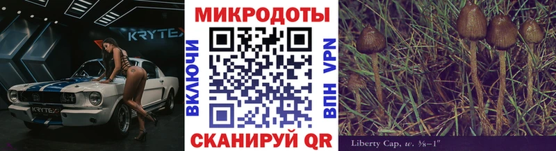 закладка  Кондрово  Псилоцибиновые грибы Cubensis 